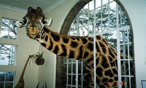 giraffemanor1