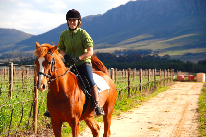 horse_vineyards