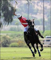 polo_2